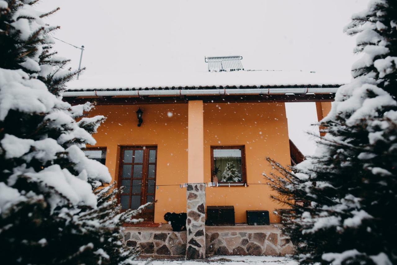 Hotel Gáll vendégház Lăzarea Exterior foto