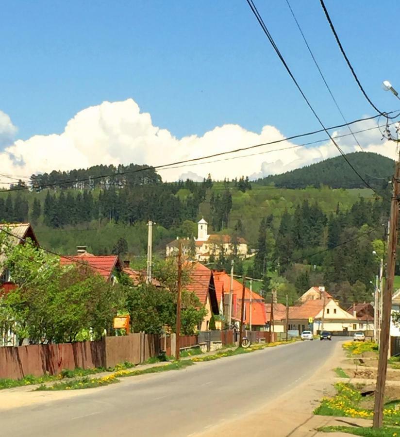 Hotel Gáll vendégház Lăzarea Exterior foto